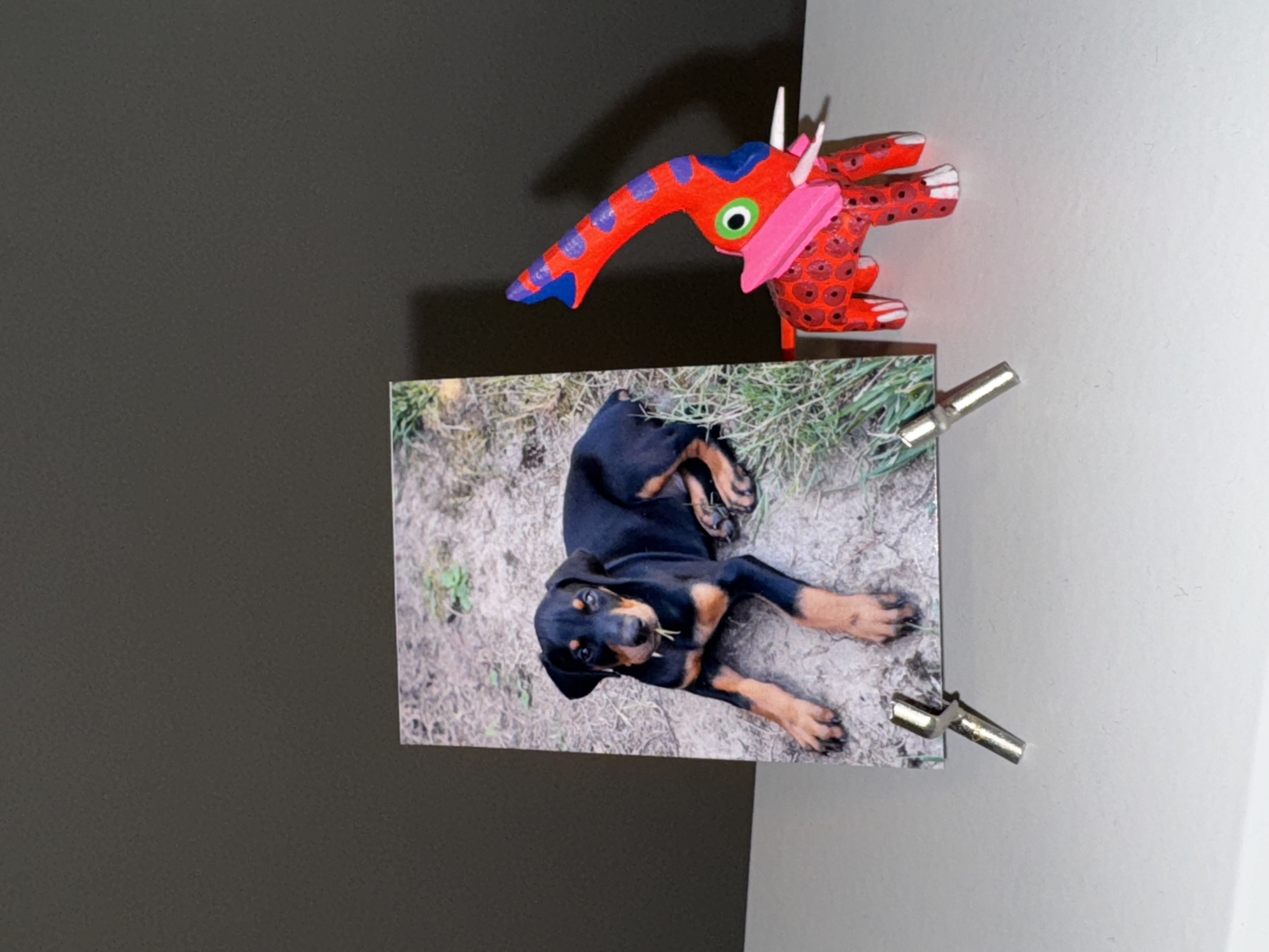 Portrait magnet example